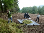 Mahdgut-&Uuml;bertragung auf Forstumwandlungsfl&auml;che