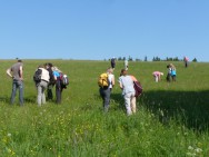 NetzwerkerSchulung1 web