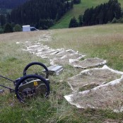 Saatgut-Material auf T&uuml;chern ausgebreitet